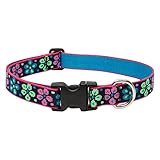 LupinePet 1-Inch Flower Power Adjustable Collar for Large Dogs, 16 to 28-Inch