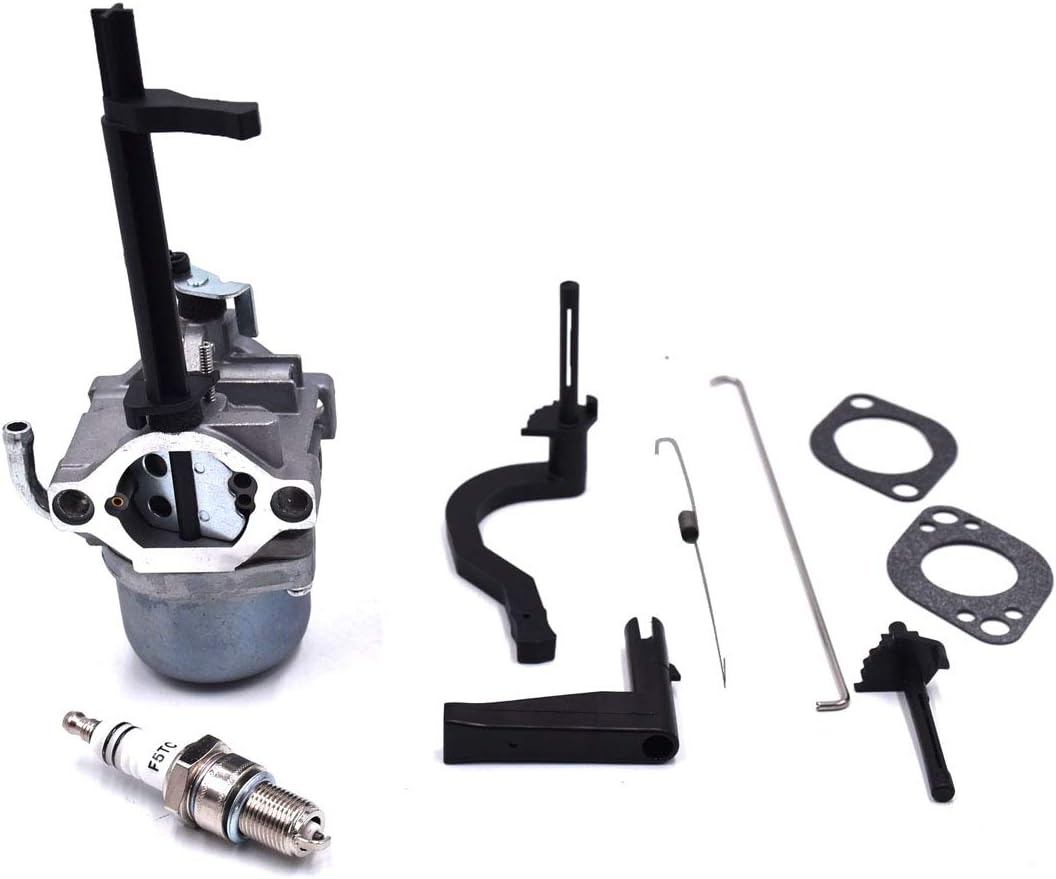 591378 Carburetor Replacement for BS 697978 796321 696132 696133 796322 697351 699958 699966 698455 695918 694952 695919 695330 796323 695920 695328 Carb