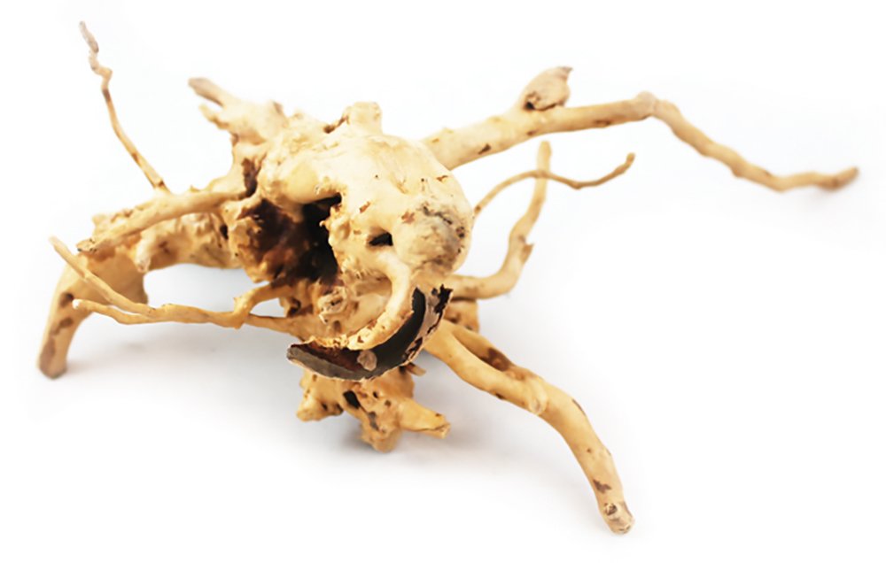 Aqua One Azalea Root Aquarium Decoration, 20-30 cm