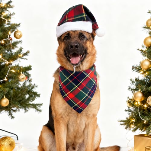 Disfraz de Navidad para perro con sombrero y bandana a cuadros miniatura 5