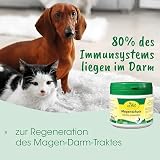 cdVet Magenschutz 2kg - Pulver zur Förderung der Gesundheit von Magen und Darm für Hunde und Katzen