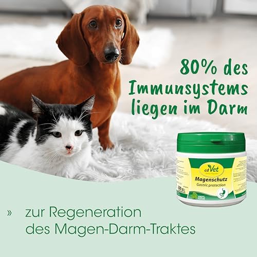 cdVet Magenschutz 2kg - Pulver zur Förderung der Gesundheit von Magen und Darm für Hunde und Katzen