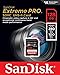 SanDisk 128GB SD Extreme Pro UHS-II Memory Card Works with Sony A7S III, ZV-E1 Mirrorless Camera (SDSDXEP-128G-GN4IN) V60 U3 Bundle with (1) Everything But Stromboli 3.0 Micro & SDXC Card Reader