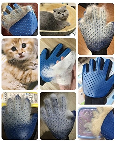 Pet-Grooming-Glove-and-Deshedding-Brush-Perfect-for-Cat-and-Dog-Short-and-Long-Hair-Gentle-Pet-Hair-Remover-Mitt-One-Size-Fits-All-260-Soft-Silicone-Tips-Right-Hand-Product-Name