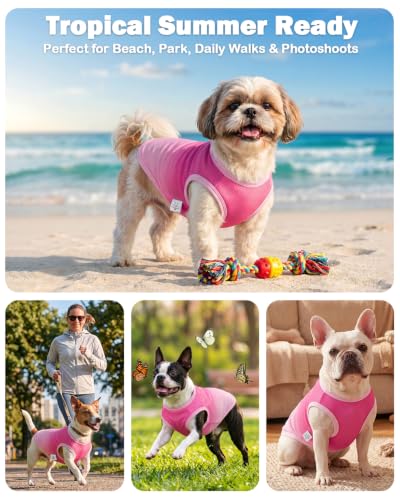Image of CuteBone Ombre Dog Tank Top for Small Dogs, Cats - Tropical Summer Pet Vest - Breathable Ice Silk Cooling Shirt - Sun Protection, Photo, Casual Play, Walks