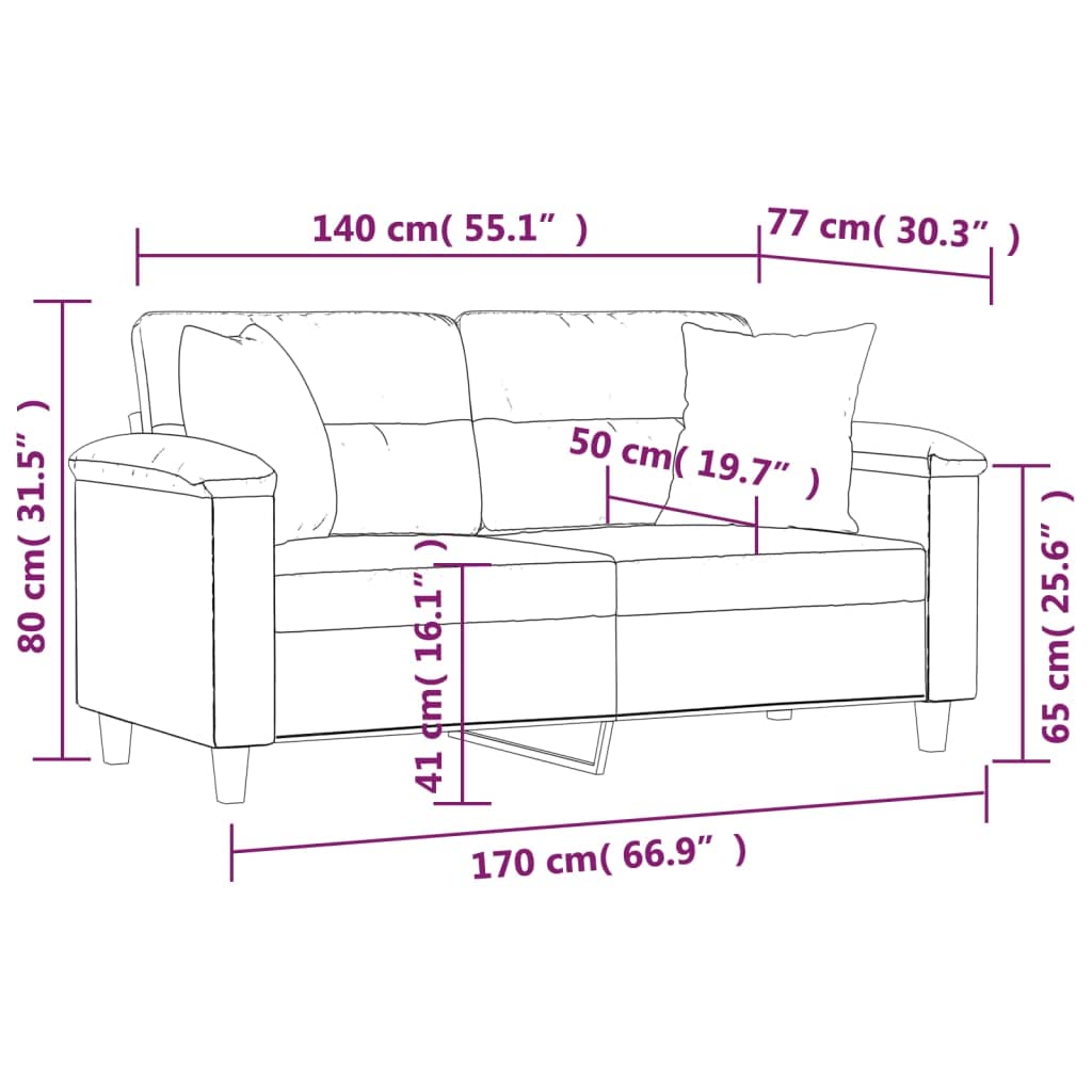 vidaXL Sofá de 2 Plazas con Cojines, Asiento con Reposabrazos, Sofá Tapizado de Televisión, Asiento para Salón, Tela de Microfibra Gris Claro