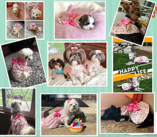 Petroom Elegant Floral Puppy Dog Dress thumb #5