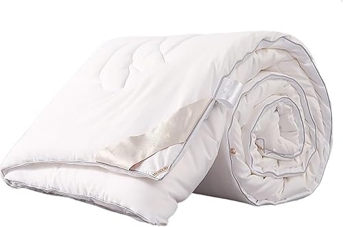 CXDTBH Home Textile Quilt Core Spring and Autumn by Soybean Fiber by Summer Cool Quilt Winter Quilt (Color  D, Size  1500g)