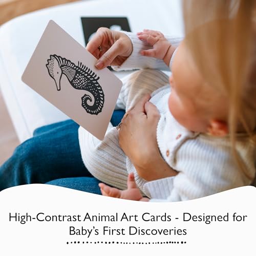 Image of Wee Gallery High Contrast Cards for Baby - Black and White Safari Animals
