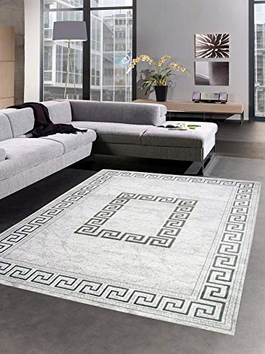CARPETIA Teppich Wohnzimmerteppich mit Glitzer grau Größe 80 x 300 cm