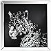 Acme Nevina Mirrored Crystal Leopard Wall Panel in Black