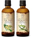 Eucalyptus Globulus y Melaleuca Alternifolia proporcionan propiedades desodorizantes, purifican y neutralizan los olores desagradables; aumentan la vitalidad y estimulan el enfoque mental.