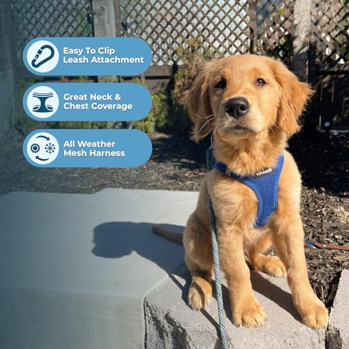 Image of Voyager Step-in Air All Weather Mesh Harness and Reflective Dog 5 ft Leash Combo with Neoprene Handle, for Small, Medium and Large Breed Puppies by Best Pet Supplies - Royal Blue (Matching Trim), XS