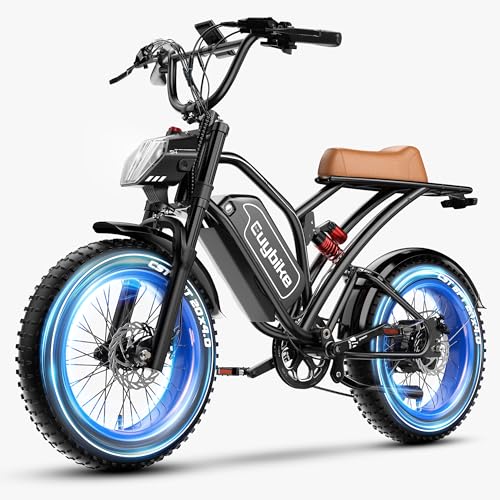3000W/2000W Dual Motor/Single Motor Electric Bike...