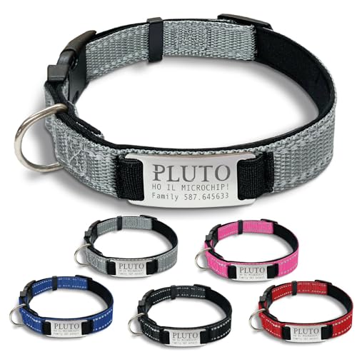 Gruppo Veneziano - collare cane personalizzato - collare cane personalizzabile con targhetta in metallo - linee Catarifrangenti - clip in abs - gancio per guinzaglio