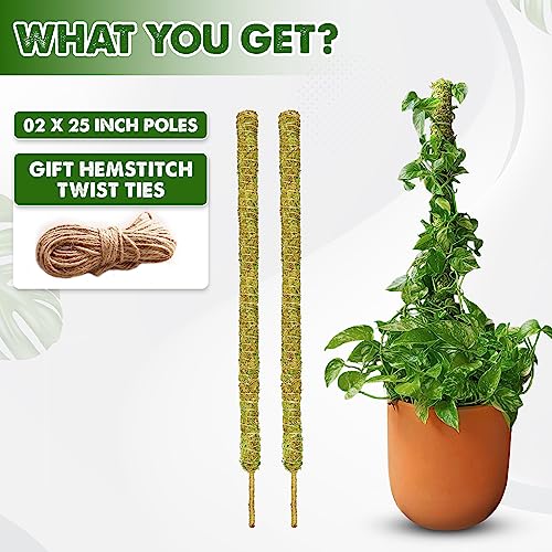 Duspro 2 Pack 25 Inch Real Moss Pole For Monstera Bendable Plant Stakes, Sphagnum Handmade Slim Forest Moss Stick, Potted Plants Support/Totem Perfect For Small/Medium Climbing Plants Indoor #TOP4