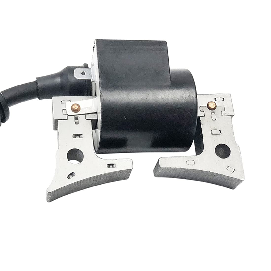 Bobine D'Allumage pour Moteurs EX13 EX17 EX21 Remplace la PièCe 20A-79431-01 277-79431-01 277-79431-11