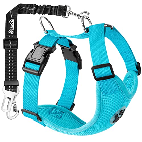 Dog Carting Harnesses The 15 best products compared Wild Explained