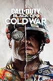 Trends International Call of Duty: Black Ops Cold War-Key Art Wall Poster, 22.375 in x 34 in,...