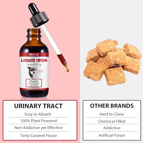 JSBNQRMZ Hunde Eisen Tropfen mit Vitamin B12 & Folsäure - Bei Blutarmut & Energieverlust - Hochbioverfügbares Polysaccharid-Eisen Komplex - Magenschonend - Leckere Karamell Geschmack - 60ml