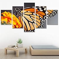SIGNWIN 5 Panel Canvas Wall Art Birds Butterfly Closeup Colorful Contemporary Home Office Modern Art Multicolor Photography for Home Decorations Ready to Hang - 60