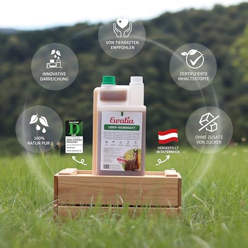 EWALIA Leber-Nierensaft | 1 l | Ergänzungsfuttermittel für Pferde | Mit abgestimmten Kräutern