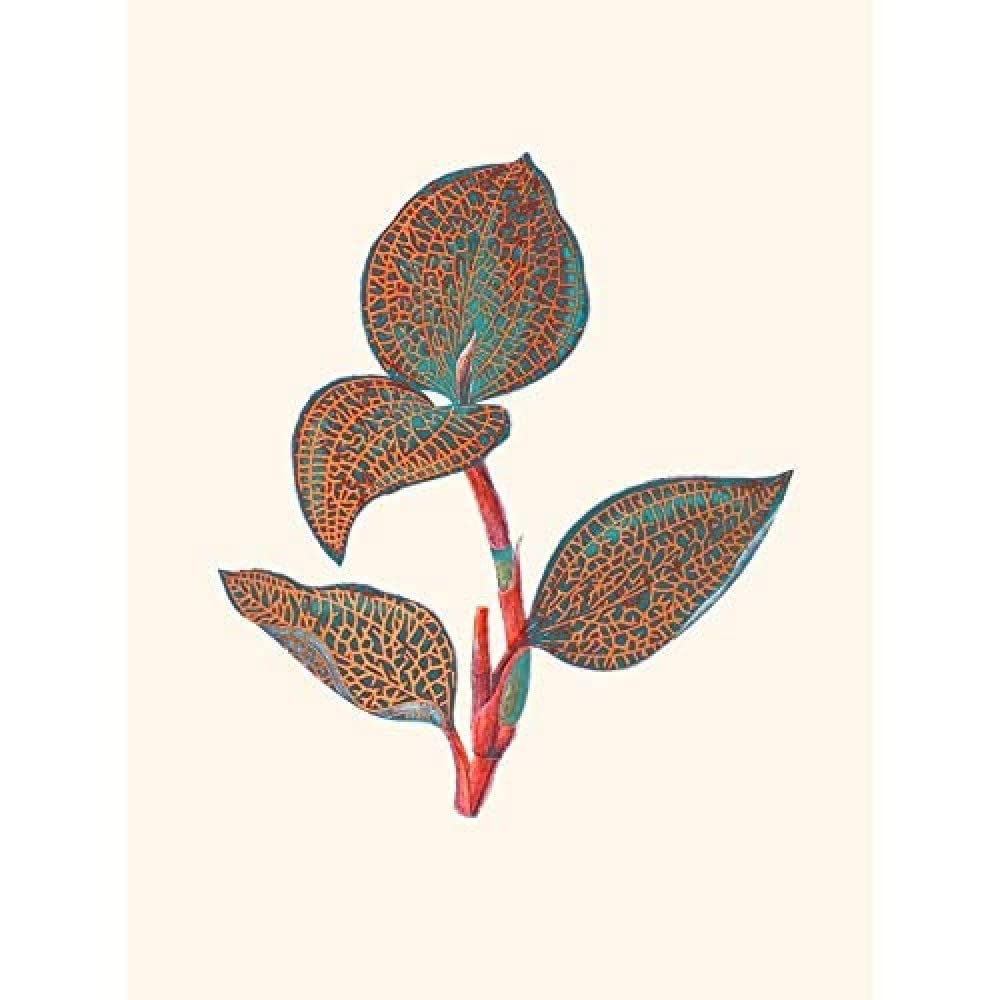Wee Blue Coo Primary Coloured Exotic Flora Unframed Wall Art Print Poster Home Decor Premium