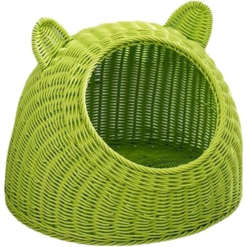 Zifizo LbgnEX h[^LnEX Lxbh  nEX   nEX xbh  ^ې ٔLlGjo[TْʋC (O[,M)