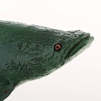 【美品】82cm ピラルク（樹脂製）fish craft REAL製作 ハンドメイド 82cmピラルク 魚模型 古代魚 熱帯魚 フィギュア