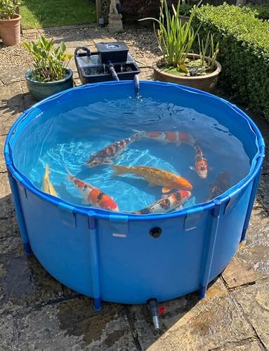 Piscina plegable de PVC de 120 cm: la solución perfecta para acuarios móviles 8