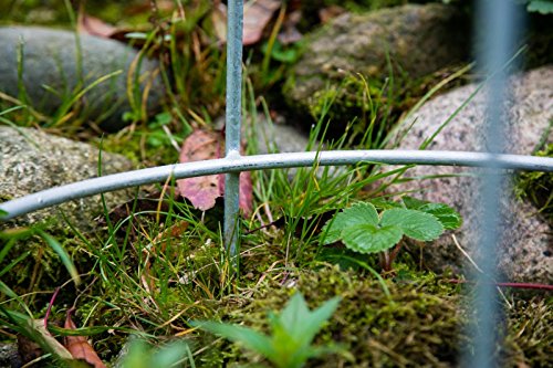 KUHEIGA Rankgerüst verzinkt/Zink Obelisk Rosenhilfe H: 160cm Rankhilfe Metall Zink
