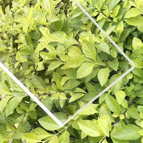 Polycarbonate toiture anti-UV panneau transparent - 4