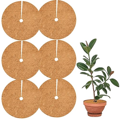 Mastello Per Piante HaGa® - Set Di 5 Dischi Di Cocco, Protezione Antigelo Per Set Cocco - Foto 3