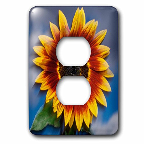 Prise de couverture double tournesol pour remplacer une plaque murale jaunie ou abîmée