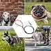 Chew Proof Hundeleine, Hundeleine Kette, Hundekette Leine Bissfest, Kettenleine für Große und Kleine Hunde Training (1.5M, A) red