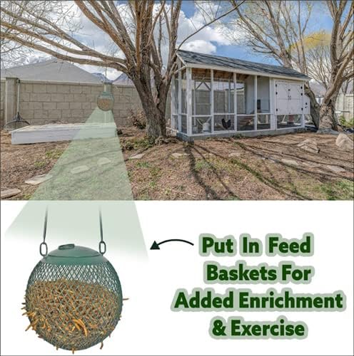 Miniatura 8 de Gusanos secos de la harina  100% natural, sin OMG, alto contenido de proteínas, a granel para pollo, gallina ponedora, pollo, pájaro silvestre,