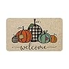   Artoid-Mode-Welcome-Pumpkin-Fall-Doormat-Thanksgiving-Home-Decor-Low-Profile-Switch-Rug-Door-Mat-Floor-Mat-for-Indoor-Outdoor-17x29-Inch