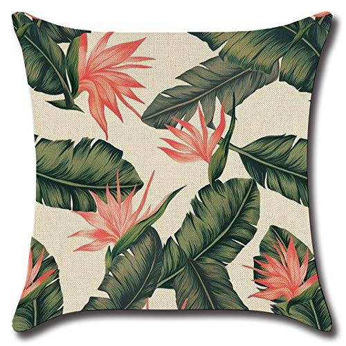 JuneyZz Estudio Funda de Almohada de Algodón Serie Set-Plant, 40 × 40 Funda de Almohada Grande, Material Textil