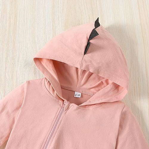Infant Newborn Baby Boys Girls Dinosaur Outfits Halloween Long Sleeve Hoodie Romper Jumpsuit Clothes4