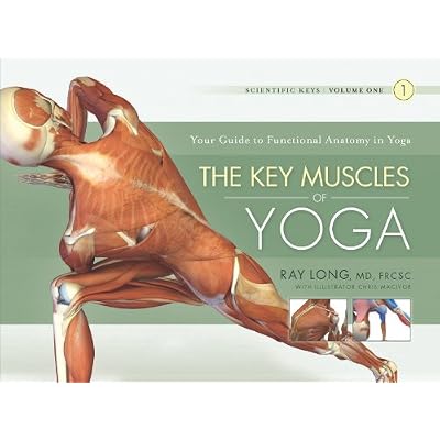 The Key Muscles of Yoga