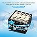 PeeliCeeli 4 Bay NAS Mini PC i3 N305, 4 NVMe Micro NAS Server Desktop Computer, Dual 2.5GbE i226V Small Network Attached Storage with USB3.2, Support WiFi7, DDR5 8GB RAM 256GB SSD