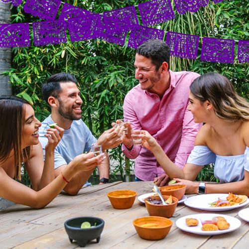 Image of VitalCozy 4 Pack 59 ft Mexican Papel Picado Banner Plastic Mexican Talavera Party Fiesta Banner Wedding Hanging Decorations for Cinco De Mayo Cielito Lindo Party Supplies(Purple)