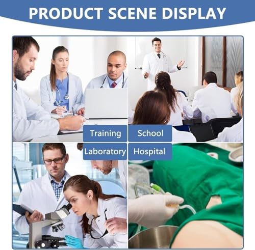 Simulador de entrenamiento de glúteos modelo mitad transparente para práctica médica miniatura 7