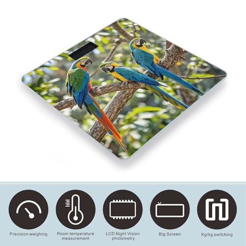Báscula digital de baño con diseño Colorful Parrots miniatura 3