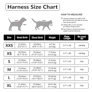 Soft Mesh Dog Harness and Leash Set Nochock Stepin Reflective Breathable Lightweight Easy Walk Escape Proof Vest Harnesses with Safety Buckle for Small Medium Dogs Cats m Pink Blue Cucciolini Doodles Soft mesh dog harness and leash set no chock step in reflective breathable lightweight easy walk escape proof vest harnesses with safety buckle for small medium dogs cats m pink blue cucciolini doodles