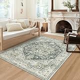 Persian Washable Area Rug 5x7 ft,Large Boho Living Room Rug Vintage Non-Slip Indoor Rug for Bedroom,