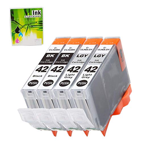 NEXTPAGE CLI-42 BK CLI-42 LGY Compatible Ink Cartridges Replacement for Canon CLI42 Black Ink Cartridges & Canon CLI42 Light Gray Ink Cartridges Work with Canon Pixma Pro100 Printer, 4 Pack
