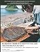 Basketry from the Ozette Village Archaeological Site: A Technological, Functional, and Comparative Study: Ozette Archaeological Project Research Reports, Volume IV (Memoir)