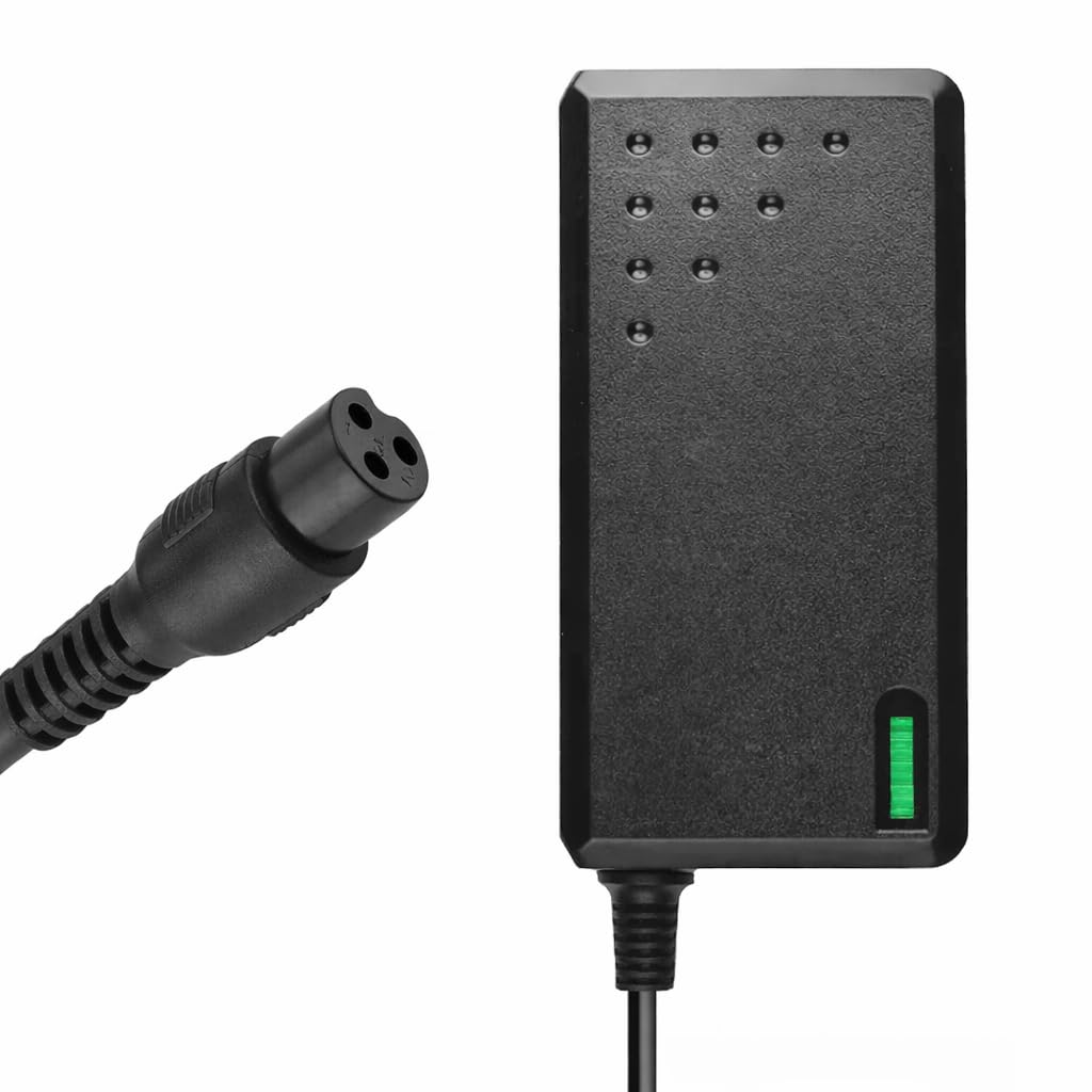 Amazon.com: 3-PIN Battery Charger Compatible with Bikydom 5600W