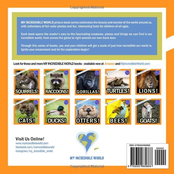 Alligators and Crocodiles!: A My Incredible World Picture Book for Children (My Incredible World: Nature and Animal Picture Books for Children)